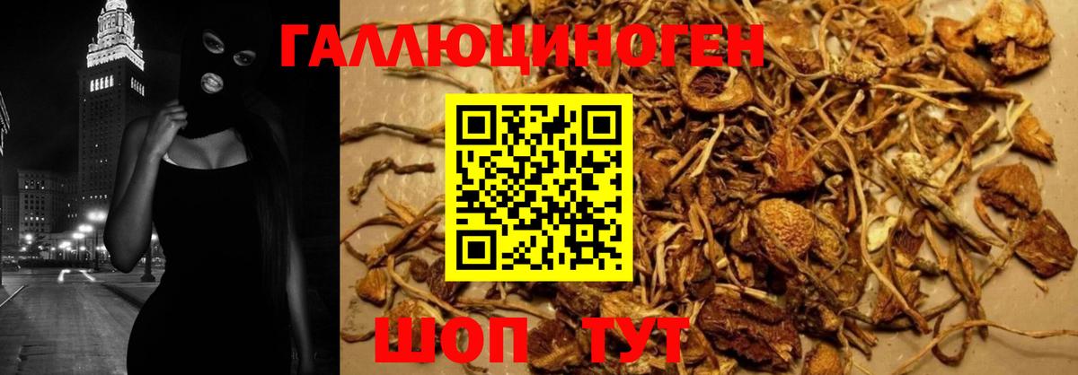 Галлюциногенные грибы MAGIC MUSHROOMS Пенза